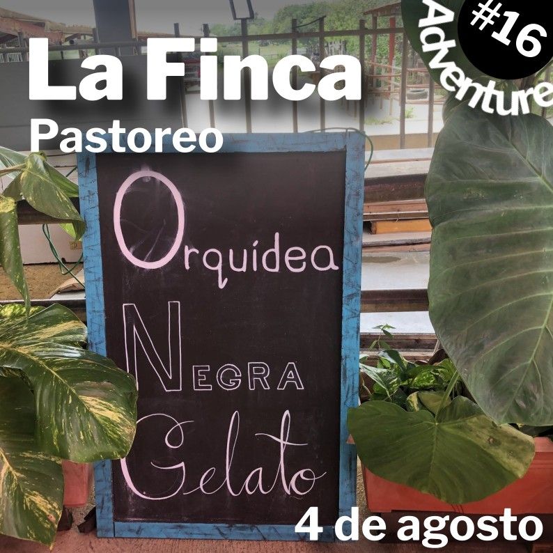 Adventure #16: Finca Pastoreo  in Dorado